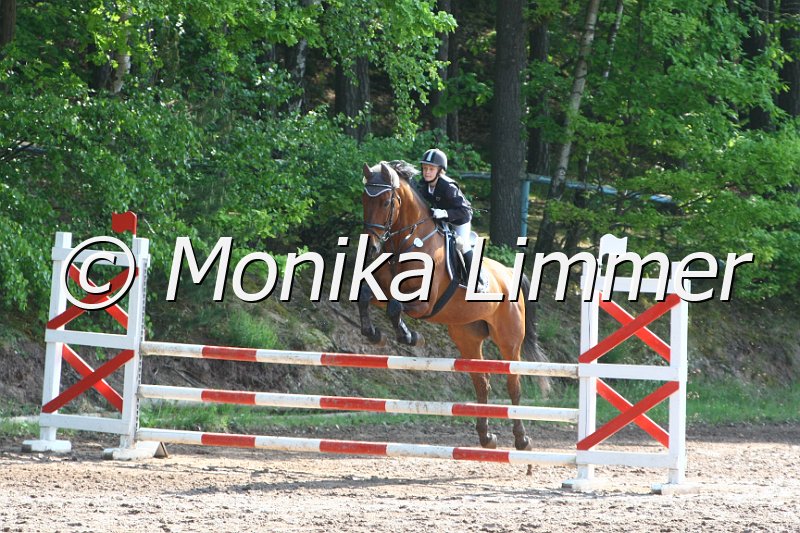 104M7885_Spring A.JPG